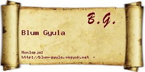 Blum Gyula névjegykártya